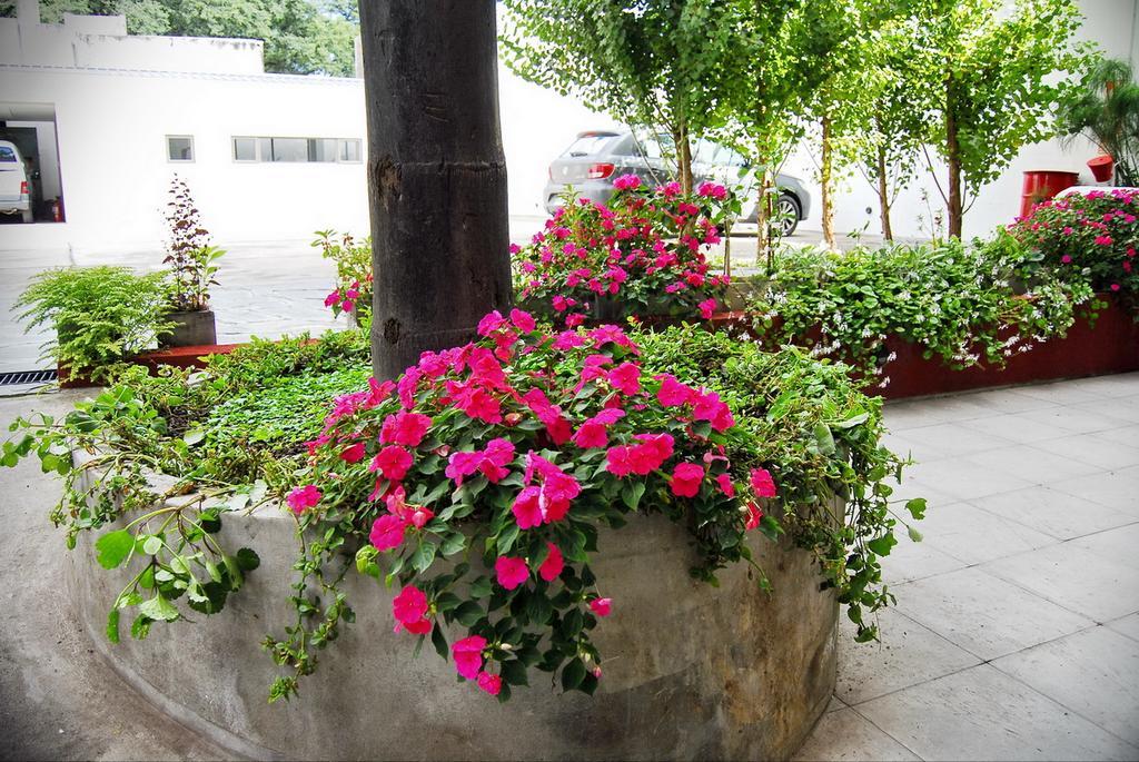 Tramas Andinas Aparthotel Salta Buitenkant foto